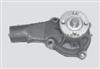 Water Pump For GENERAL MOTORS 10049043