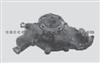 Water Pump For GENERAL MOTORS 12520914