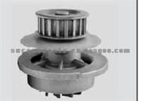 Water Pump For GENERAL MOTORS 90325661B