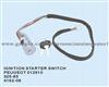 Peugeot 012910 Ignition Starter Switch