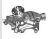 Water Pump For CHEVROLET 10048919