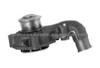 Water Pump For FORD 5020242