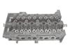 CYLINDER HEAD 71729497
