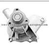 Water Pump For HONDA 19200679013