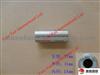 Great Wall Parts PISTON PIN(CHINA) 1004011-E06