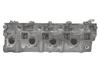 Cylinder Head Zd30 11039-VC101