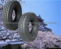 Triangle Technical China 1200R20 Rockstone Tires