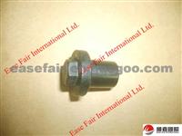 Great Wall Parts NUT HEAD(AIR VALVE CHAMBER COVER 1003021-E02