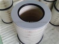 AIR FILTER,8149961