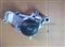 Mitsubishi Galant Lancer Water Pump MD300799 - img1