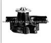 Water Pump For NISSAN/DATSUN 21010-09W25