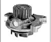 Water Pump For VOLKSWAGEN 074121005NV