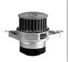 Water Pump For VOLKSWAGEN 036121005D