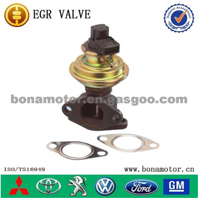 China EGR Valve For ROVER ERR4047 14927 WAV 100330 7.22074.03.0