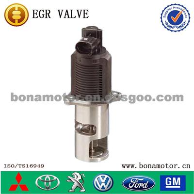 EGR Valve For PEUGEOT 4404463 9112463 93160741 8200088888 8200270539