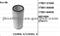 SUZUKI Filter,13780-58b00 - img2