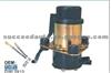 ELECTRONIC FUEL PUMP FOR HONDA DWI 0913