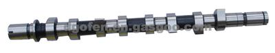 CAMSHAFT,RENAULT KANGOO,CLIO 2,MEGANE 2,8200089894