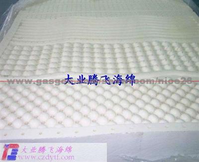 Polyester Mattress/Folding Foam Mattress/Rollable Thin Foam Mattress/Customized Sponge Mat