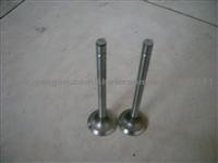 Engine Valve, Suzuki, F8