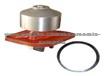 3960342 CUMMINS Water Pump