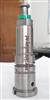 Diesel Plunger/Element 2 418 450 048 2450/048,High Quality With Good Price