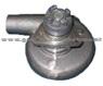 5135596 Detrot Water Pump