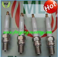 RB75WPCC Gas Engine Spark Plug