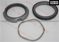 APV Pump Seals W010