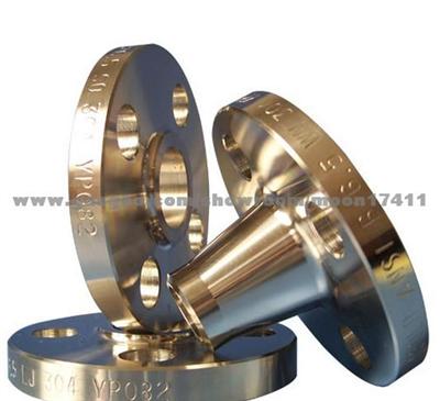 Flange, Ring Forging, Pipe Fitting, Stainless Flange