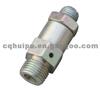 Safety Valve For Engineering Machine