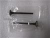 Exhaust Valve LF481Q1-1007011A