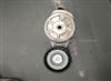 1503113q Tensioner Bearing
