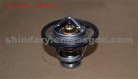 Thermostat 481H-1306020