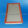 B65713Z40 Air Filter