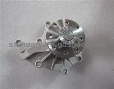 Water Pump Assy XN1307110001