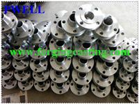 Stainless Steel Forging Flange