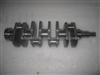 Crankshaft 465Q100500102