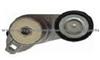 21257889 Tensioner Bearing