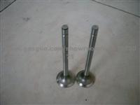 Bedford Engine Valve / IN%EX VALVE OE: V3054 V3067