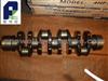 Crankshaft 4HF1 For Isuzu