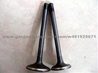 Engine Valve For CAT3406 (OEM NO.: IN 1152368 & EX 1152367 )