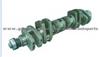 161560020029 Crankshaft