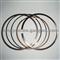 Piston Rings Engine Piston Ring For Buick Century Chevrolet Malibu 12481987 - img2