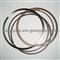 Engine Piston Rings Chevrolet Lacetti Optra Buick Excelle 92067238 92067239 - img2