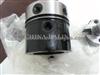 Delphi Head Rotor 7123-340T