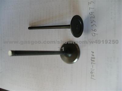 Engine Valve For Paykan 71250987 71250988