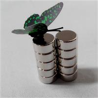 Neodymium Magnet 8mm