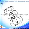 Small Engine Piston Rings