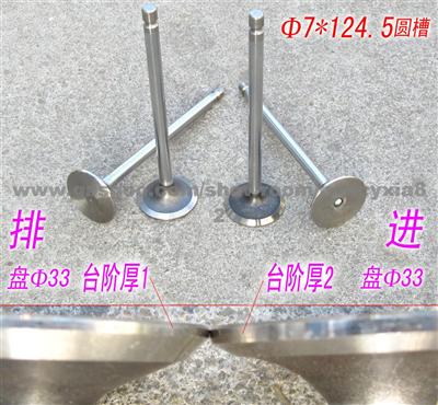 Intake And Exhause Valve